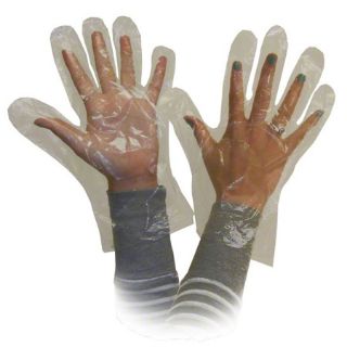 Image sur Gants jetables en polyéthylène RONCO - Taille M